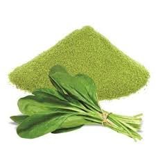 Spinach Powder